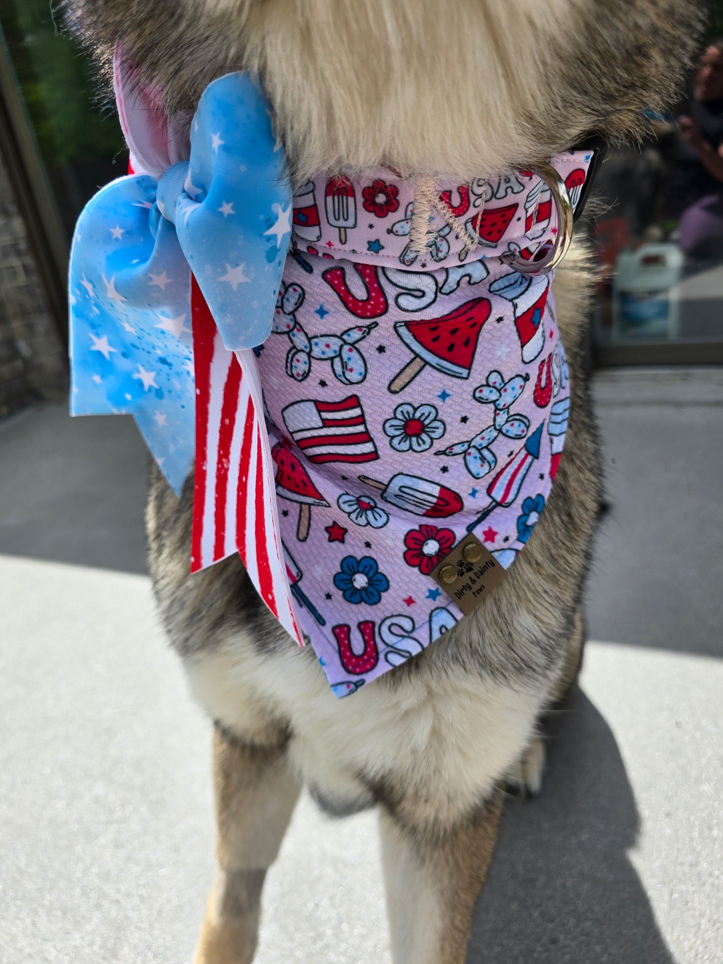 Pawty In The USA| Patriotic USA Neoprene Dog Collar – 4th of July Summer Dog Collar