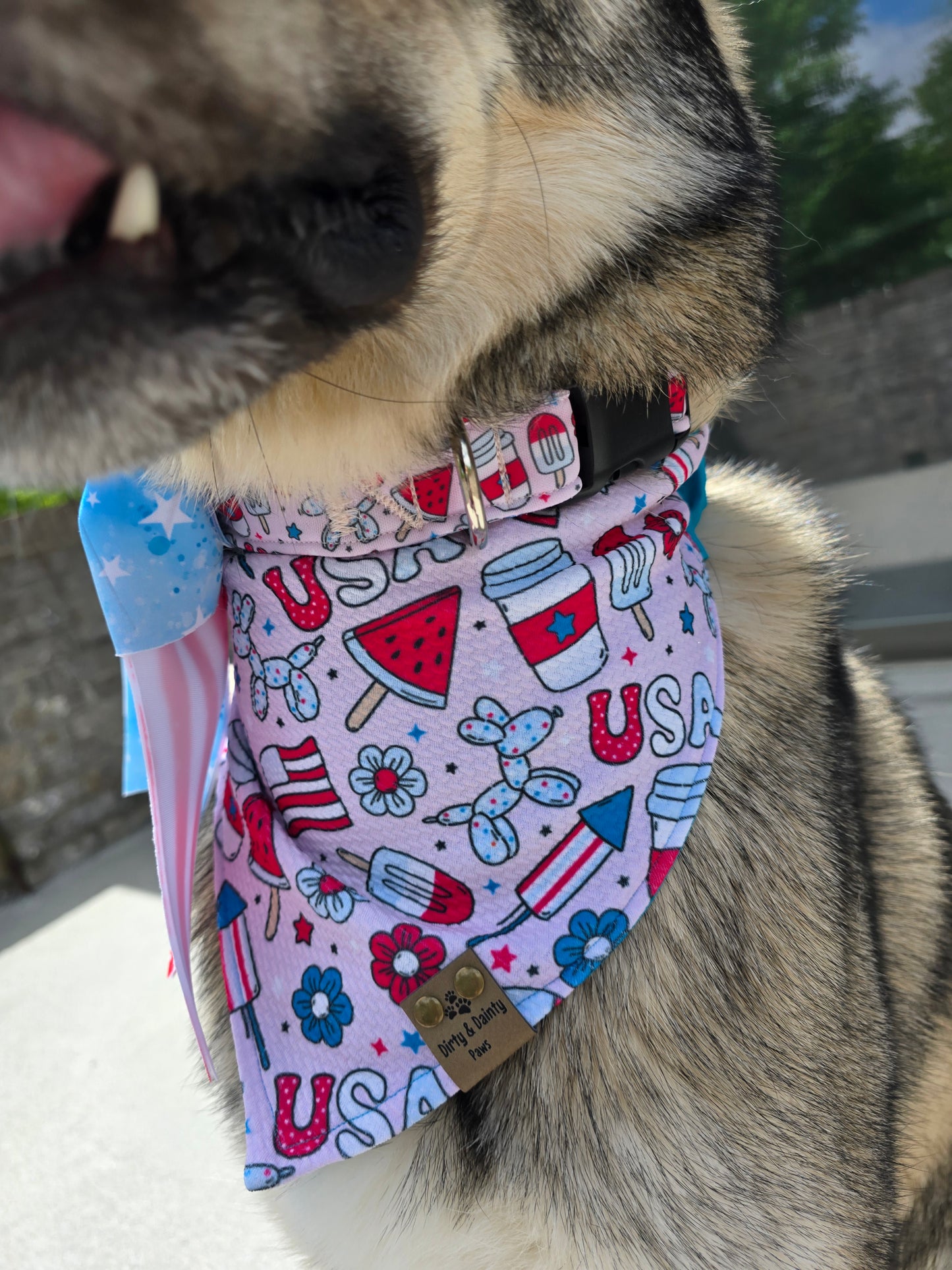 Pawty In The USA| Patriotic USA Neoprene Dog Collar – 4th of July Summer Dog Collar