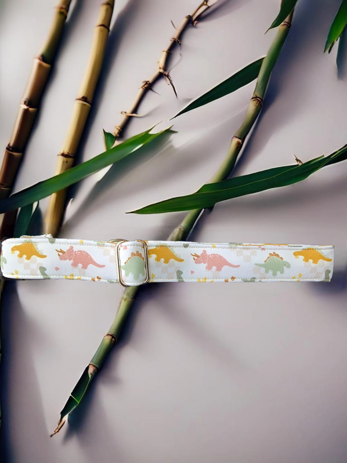 Neutral Spring Dinos Neoprene Dog Collar – Soft & Adjustable