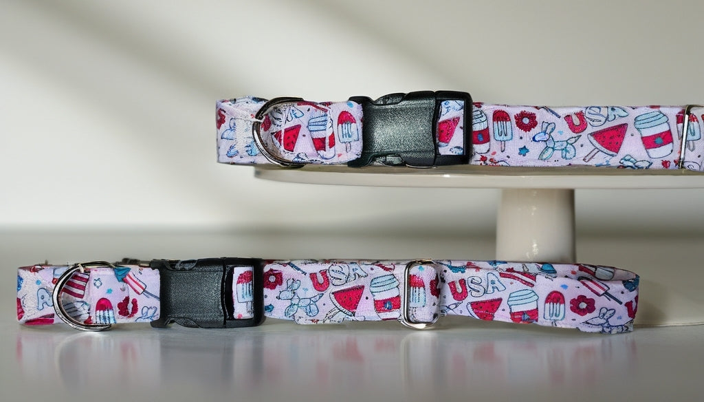 Pawty In The USA| Patriotic USA Neoprene Dog Collar – 4th of July Summer Dog Collar