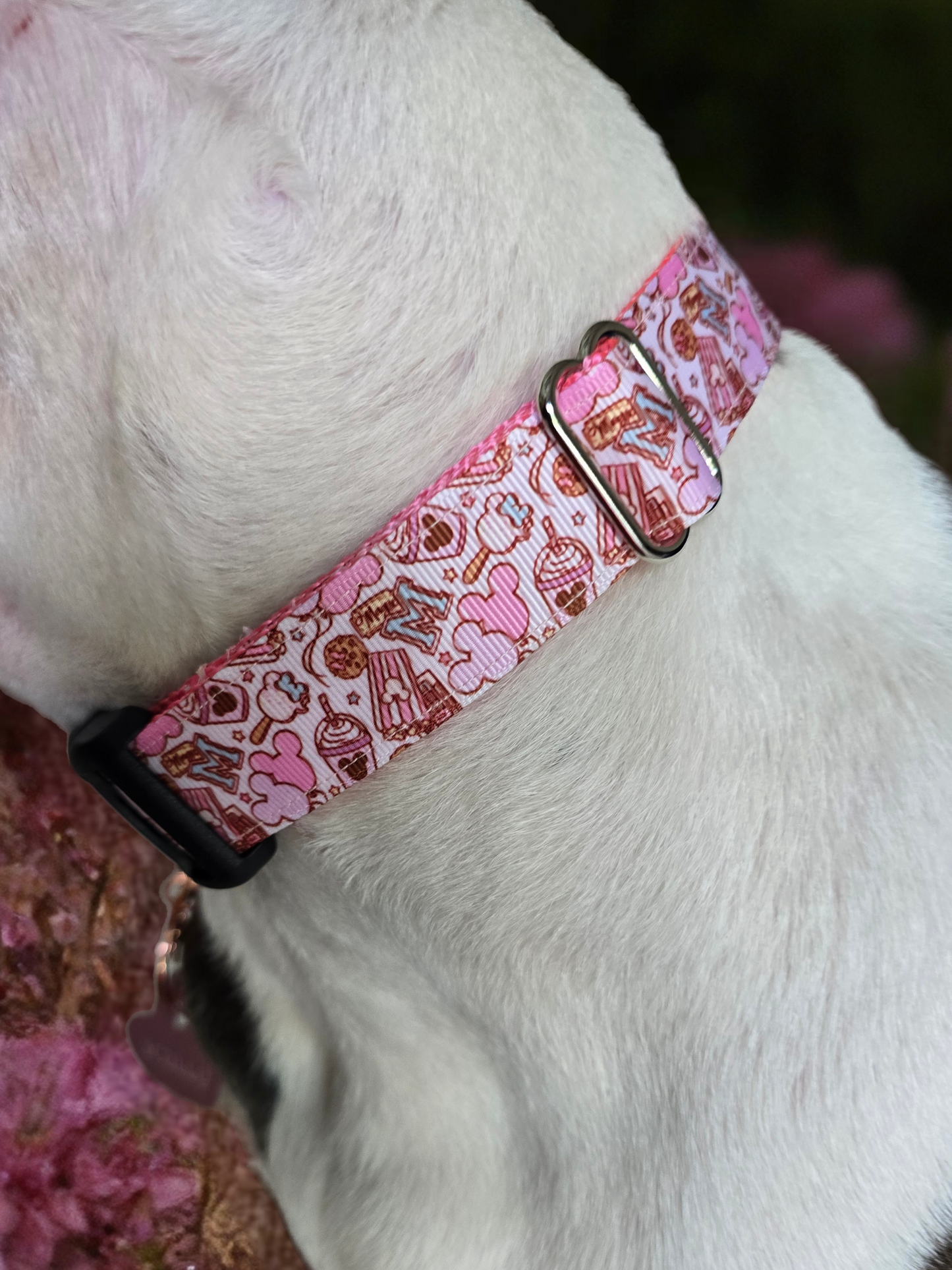 Magical Treats Dog Collar Pink and Purple – Adjustable, Comfortable & Durable