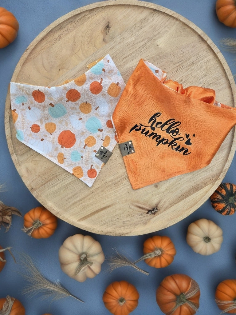 Boho Pumpkins| Hello Pumpkin| Dots| Cozy Cotton Reversible Scrunchie Dog Bandana
