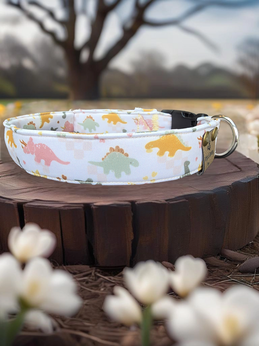 Neutral Spring Dinos Neoprene Dog Collar – Soft & Adjustable