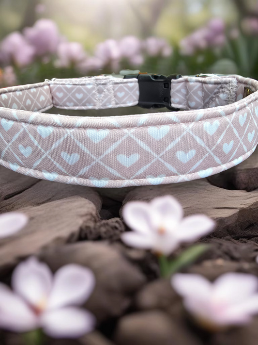 Neutral Spring Hearts Neoprene Dog Collar | Waterproof & Comfortable