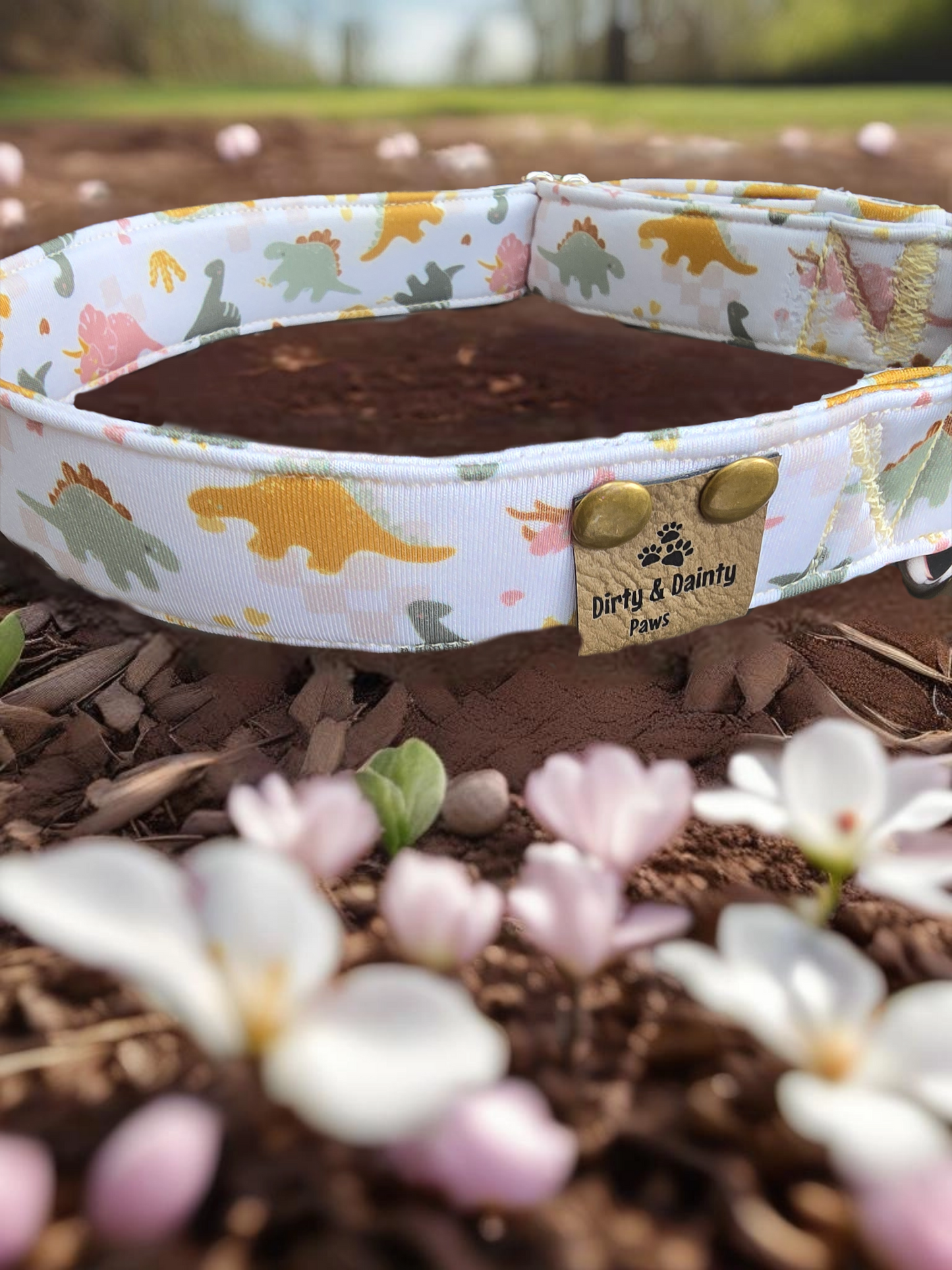 Neutral Spring Dinos Neoprene Dog Collar – Soft & Adjustable