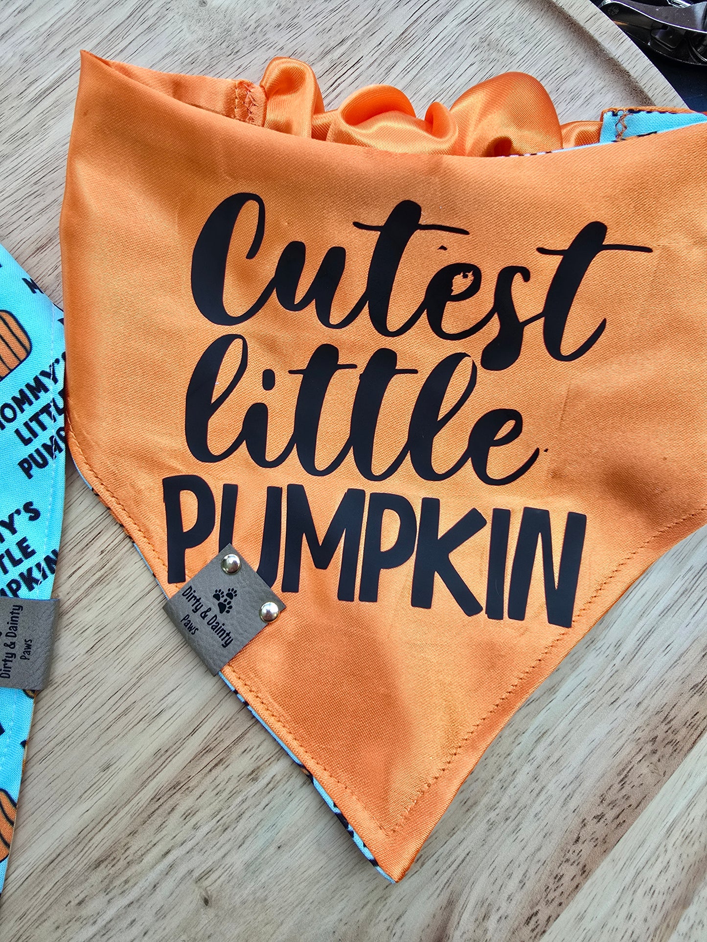 Mommy's Little Pumpkin|Cutest Little Pumpkin|Fall Floral Cozy Cotton Reversible Scrunchie Dog Bandana