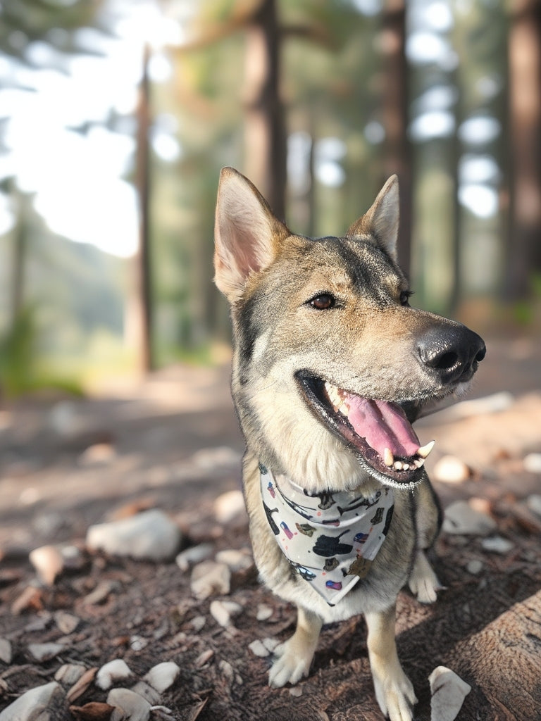Military Reversible Scrunchie Dog Bandana – 100% Donated to Warrior Dog Foundation
