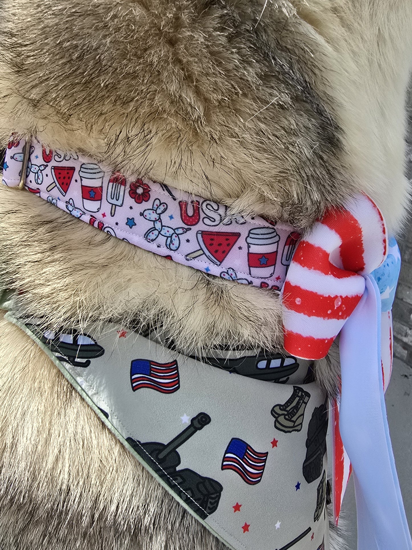 Pawty In The USA| Patriotic USA Neoprene Dog Collar – 4th of July Summer Dog Collar