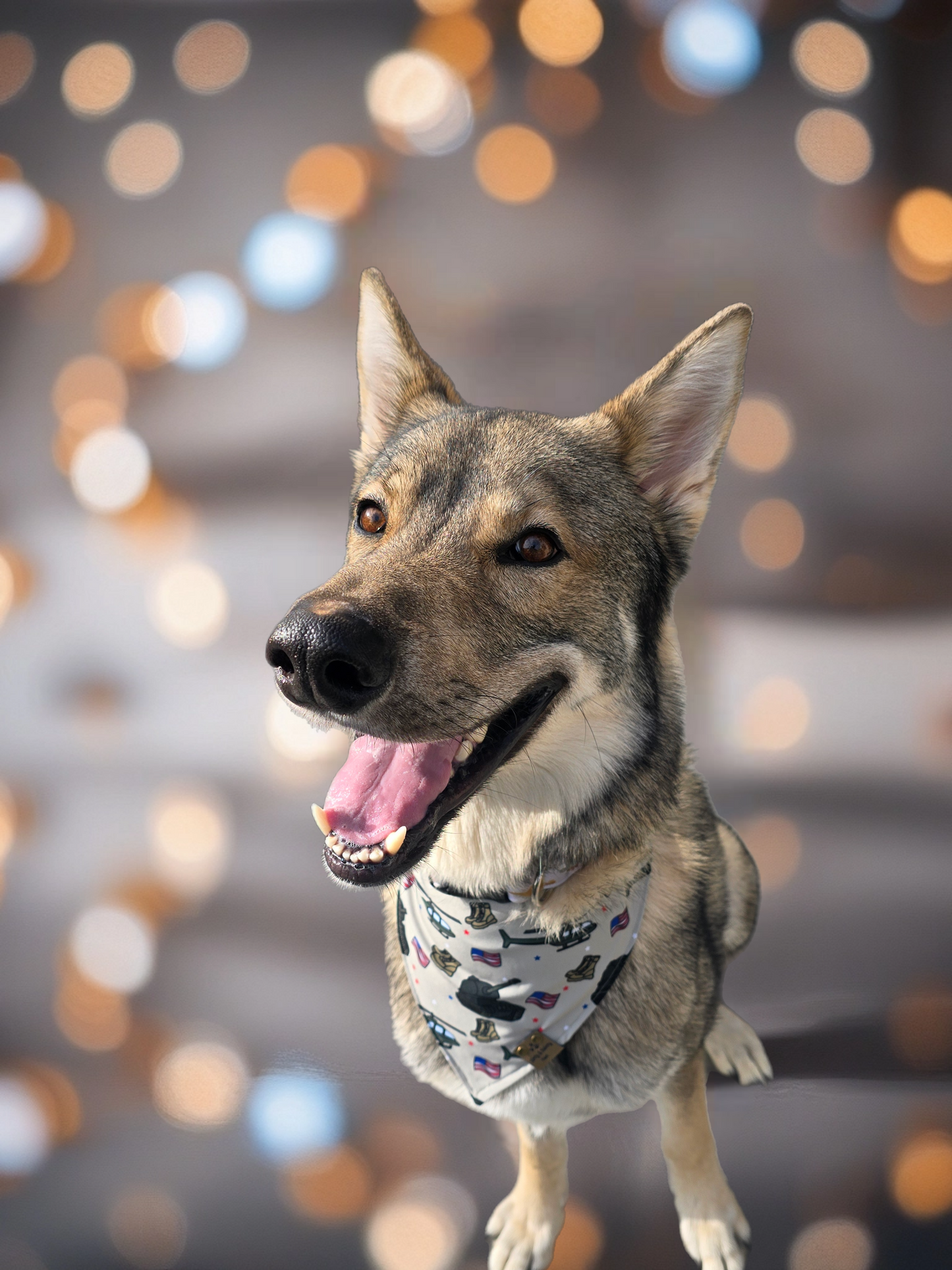 Military Reversible Scrunchie Dog Bandana – 100% Donated to Warrior Dog Foundation