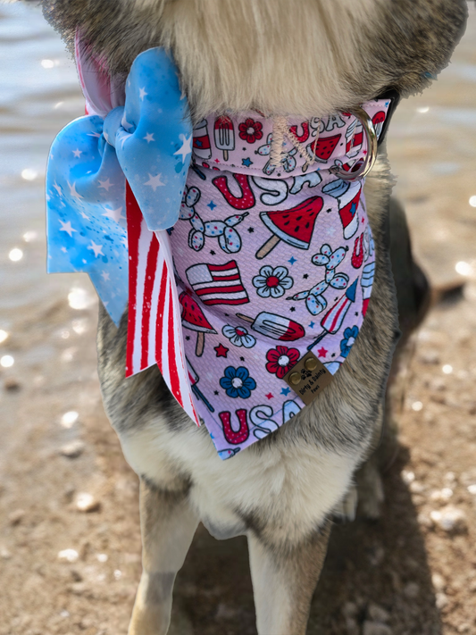 Pawty In The USA| Patriotic USA Neoprene Dog Collar – 4th of July Summer Dog Collar