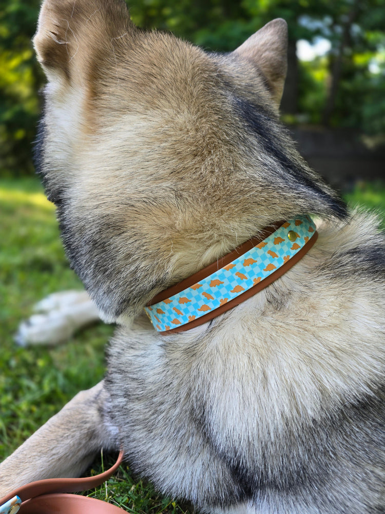 Biothane Collars