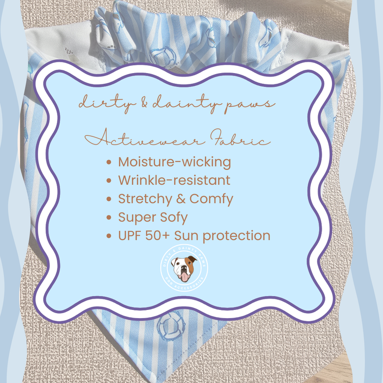 Beach Adventures Collection