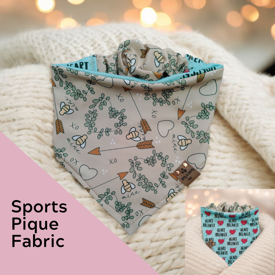 Reversible dog bandana with arrow hearts and XO Valentine pattern Bee Mine  Boho 