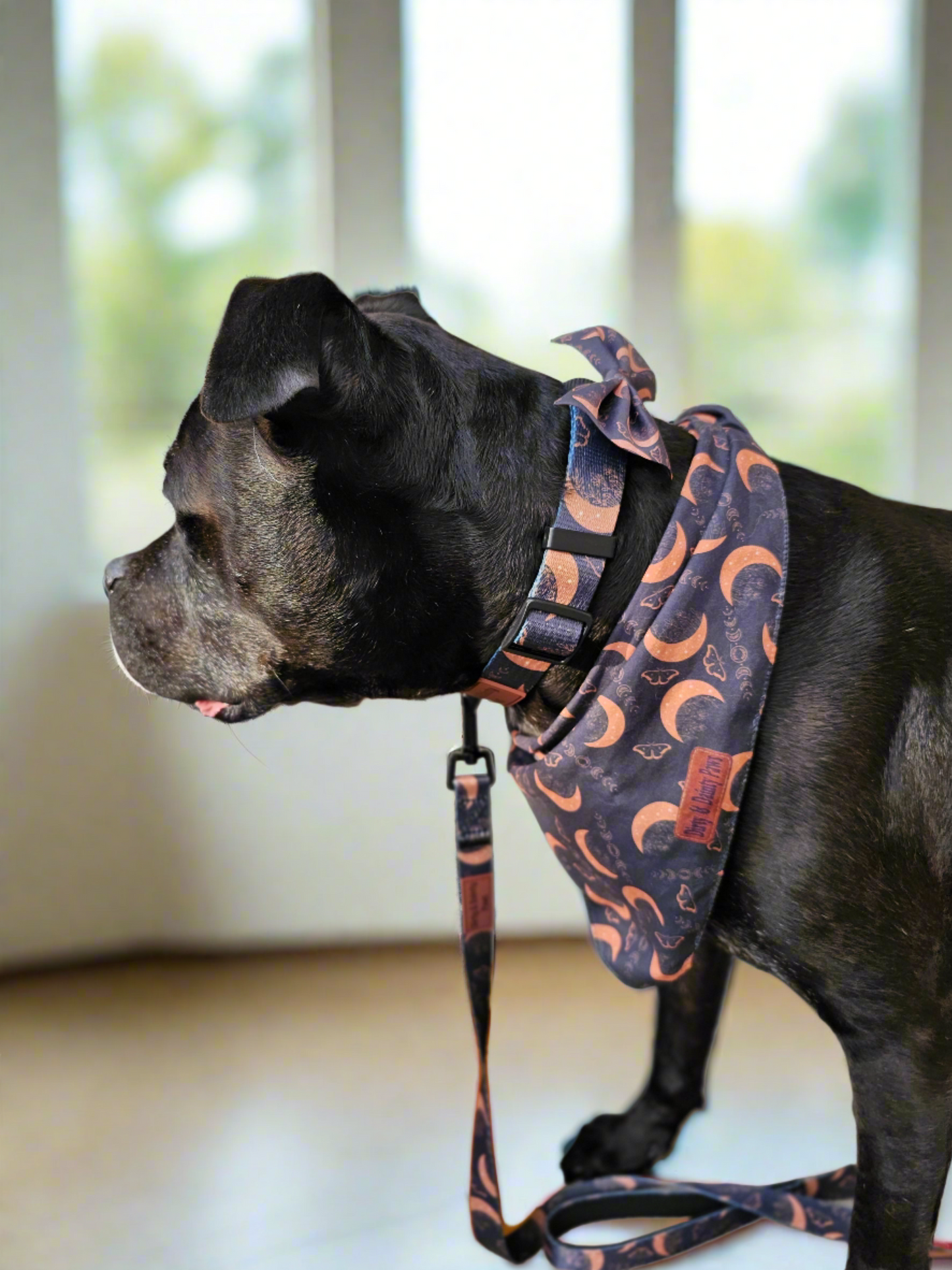 Boho Nights dog collar and leash set featuring a celestial-themed design with moons, moths, and crystals, plus a FREE Easy Tie Bandana, displayed in a chic boho style.