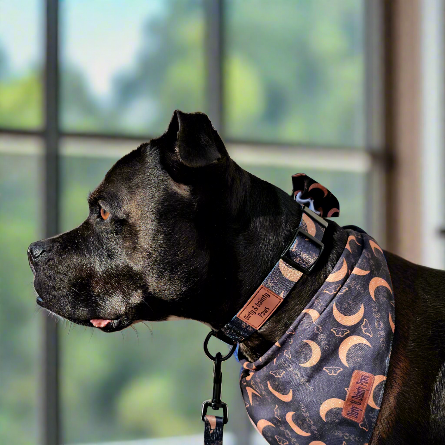 Boho Nights dog collar and leash set featuring a celestial-themed design with moons, moths, and crystals, plus a FREE Easy Tie Bandana, displayed in a chic boho style.