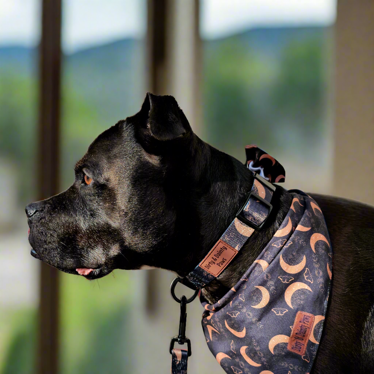 Boho Nights Bundle| Collar, Leash, Poop Bag Holder| Get a FREE Easy-tie Bandana