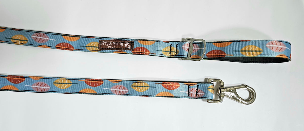 Eco-Friendly Dog Leash, Poop Bag Pouch & Poop Loop Bundle