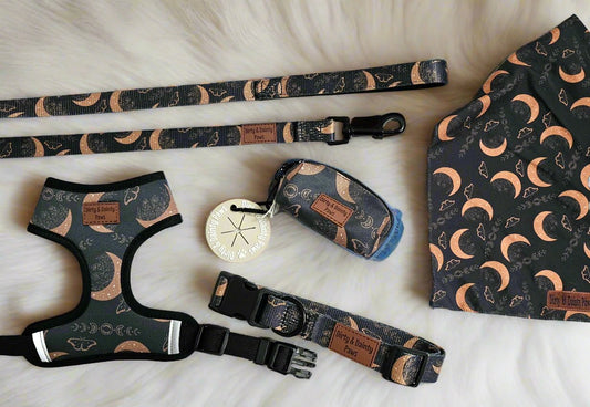 Boho Nights Collection Bundle- Collar, Leash, Harness, Poop Bag Holder- Save AND get a FREE Poop Loop and Easy tie bandana