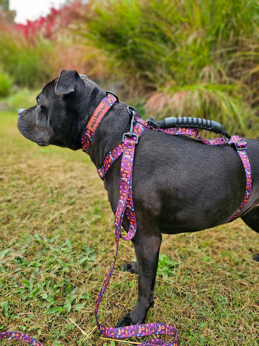 Spooky Pumpkin Jack-O-Lantern Close Control Y  Dog Harness| Halloween Dog Harness for mobility| Comfort Grip Handle| Durable Dog Harness
