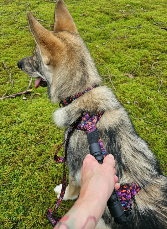 Spooky Pumpkin Jack-O-Lantern Close Control Y  Dog Harness| Halloween Dog Harness for mobility| Comfort Grip Handle| Durable Dog Harness