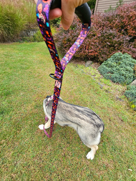 Spooky Pumpkin Jack-O-Lantern Dog leash with Comfort Grip and Traffic Handle
