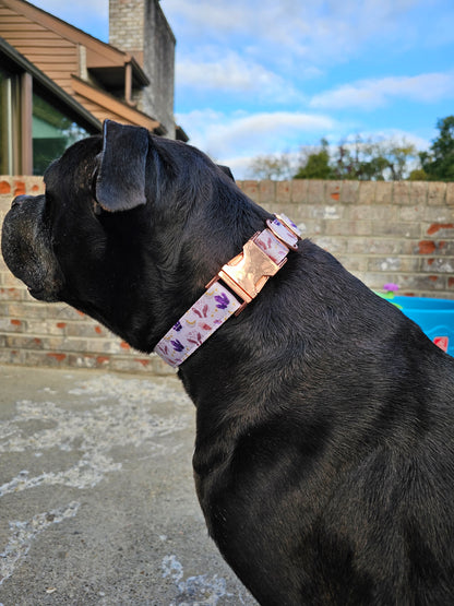 Into The Mystic Crystals Dog Collar