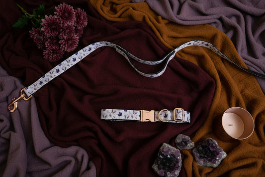 Into The Mystic Crystals and Lunar Moon Dog Leash with Traffic Handle