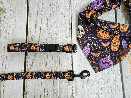 Skulls And Potions Bundle. Collar and Leash with a FREE Easy Tie Bandana