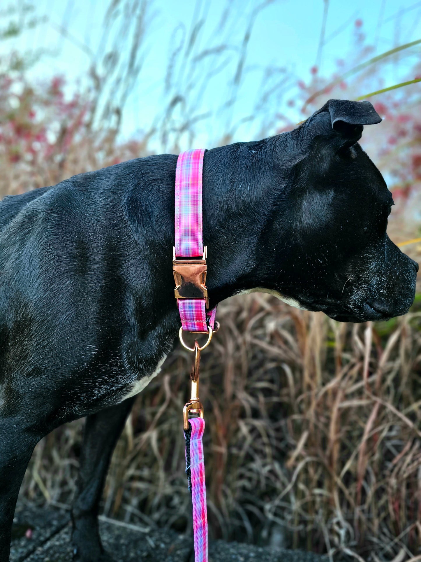 Sunset Plaid Nylon Dog Collar| Durable Dog Collar| Rose Gold Hardware
