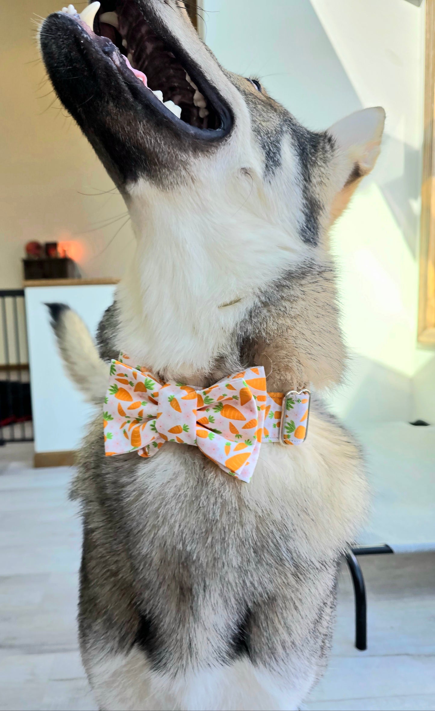 Fall and Halloween Matching Bow Ties