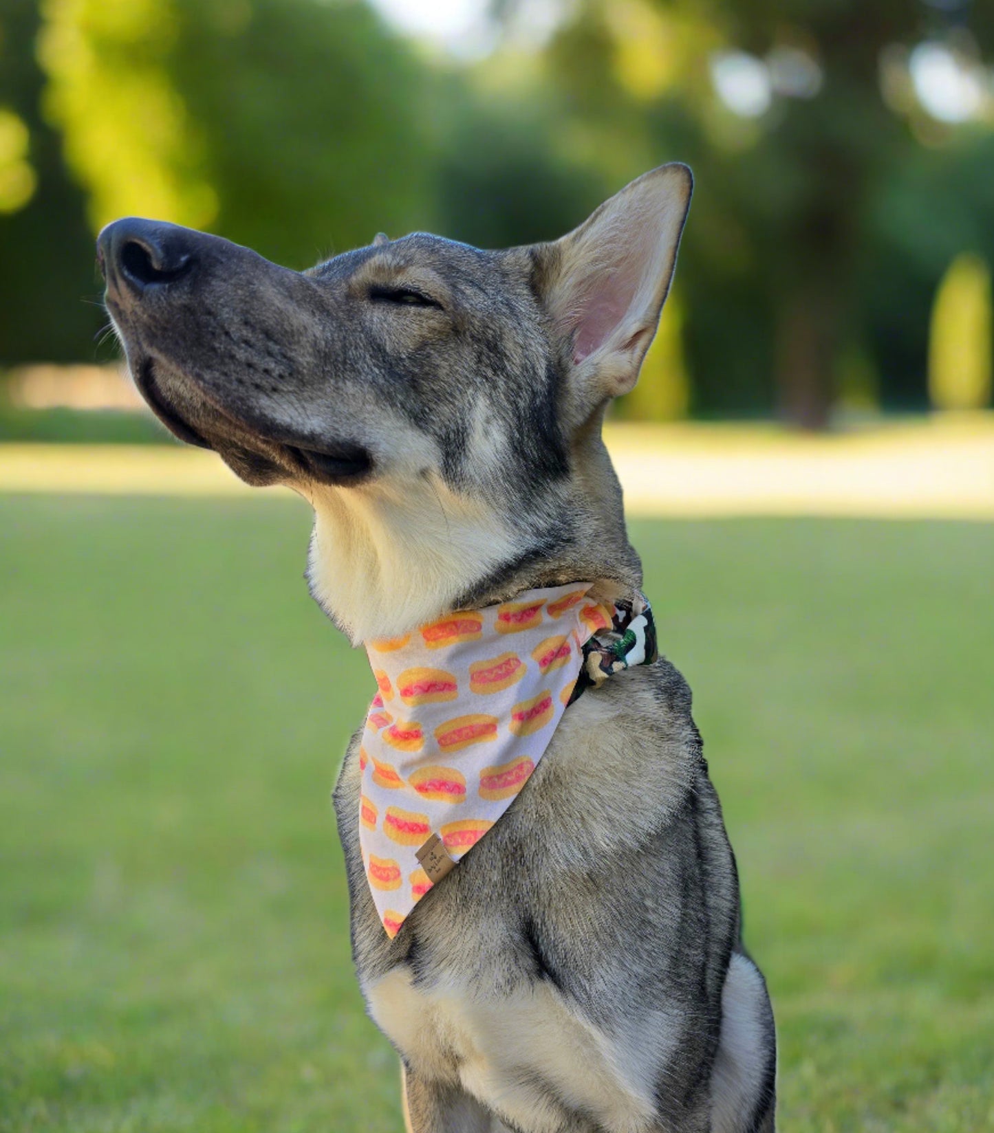 Hot Dog Reversible Dog Bandana- Choose your second print!