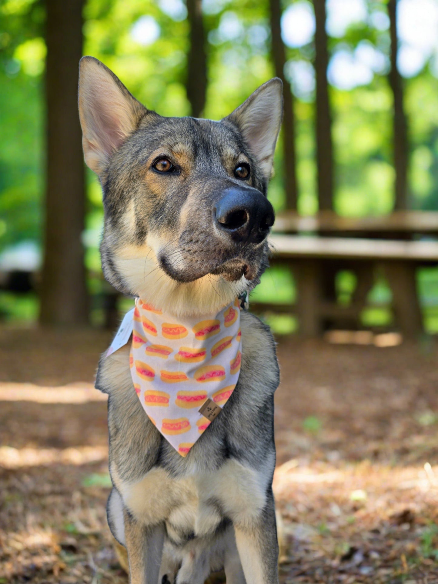 Hot Dog Reversible Dog Bandana- Choose your second print!