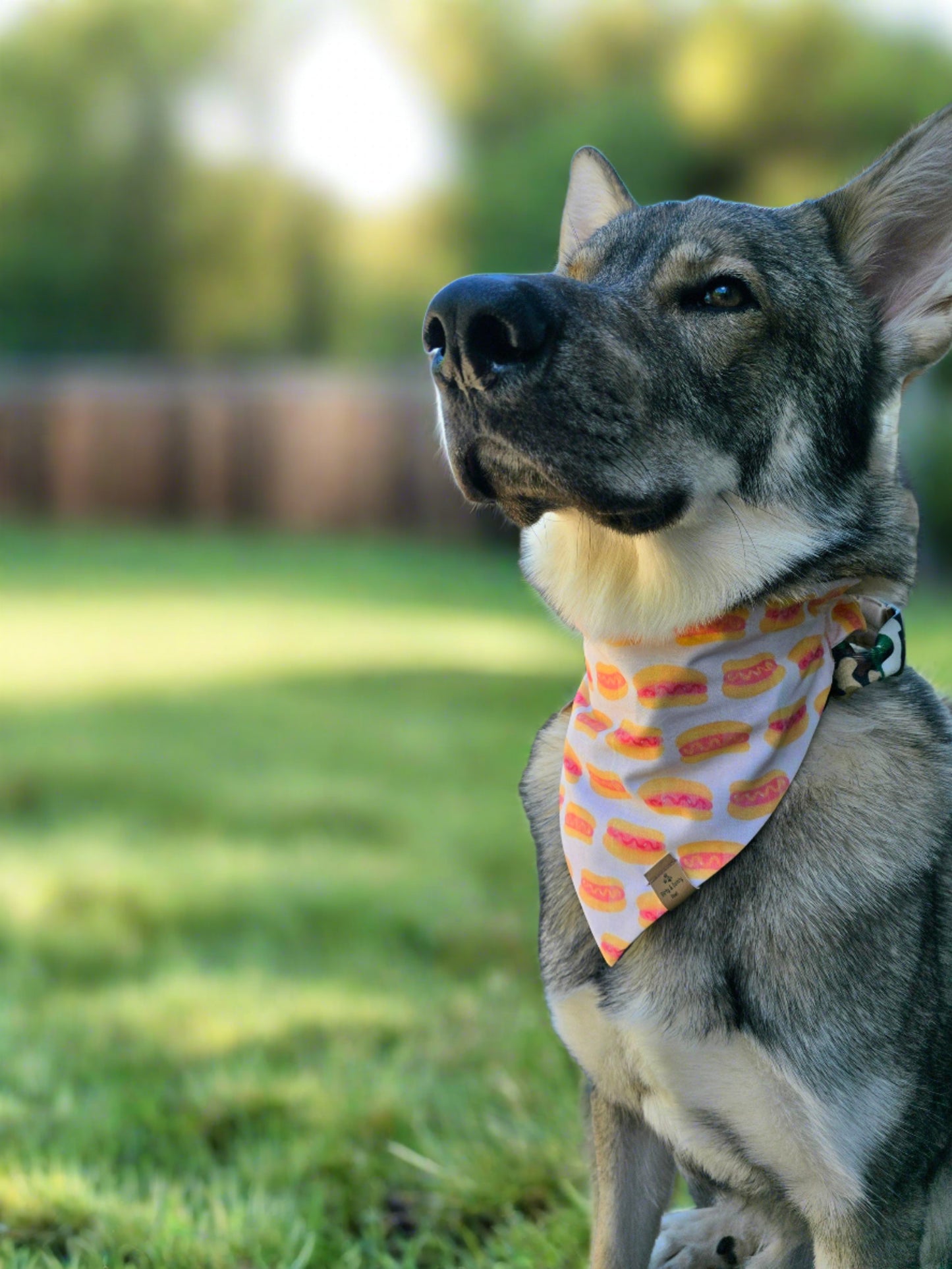 Hot Dog Reversible Dog Bandana- Choose your second print!