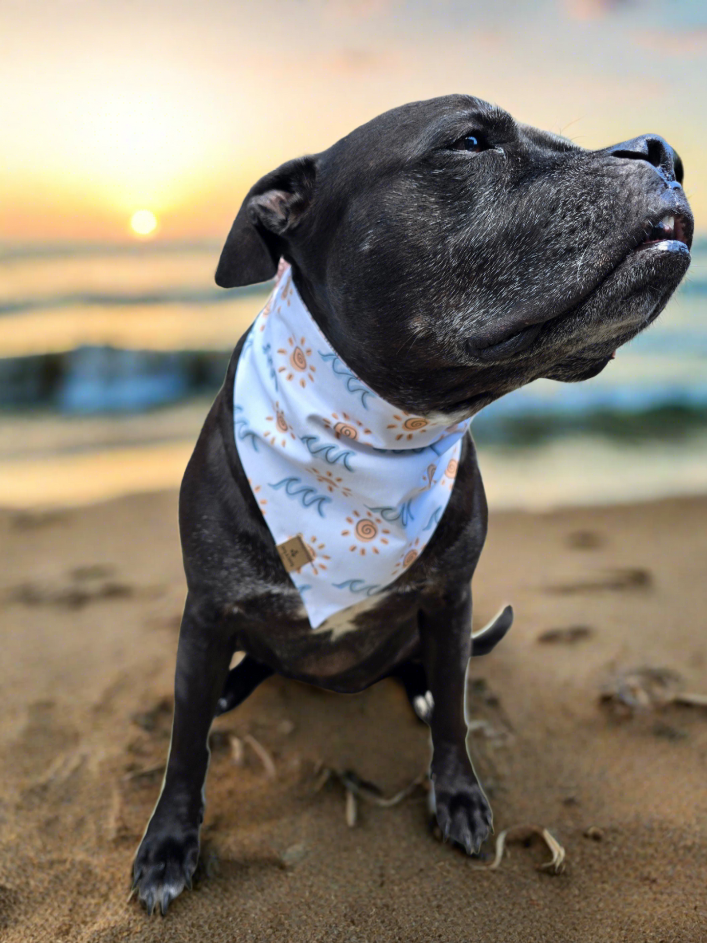 Iced Coffee/Beach Waves Reversible Scrunchie Dog Bandana