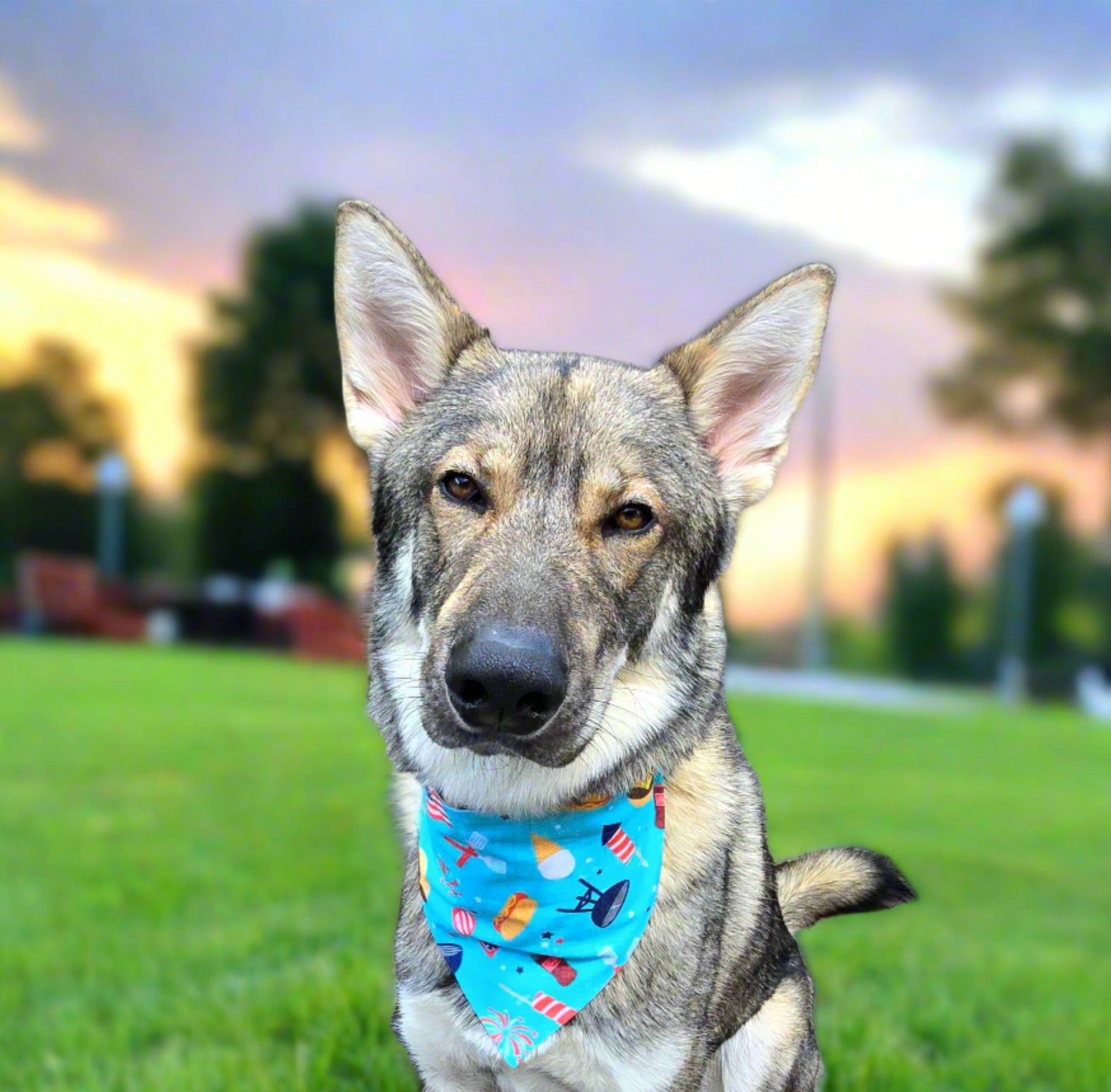 Hot Dog Reversible Dog Bandana- Choose your second print!