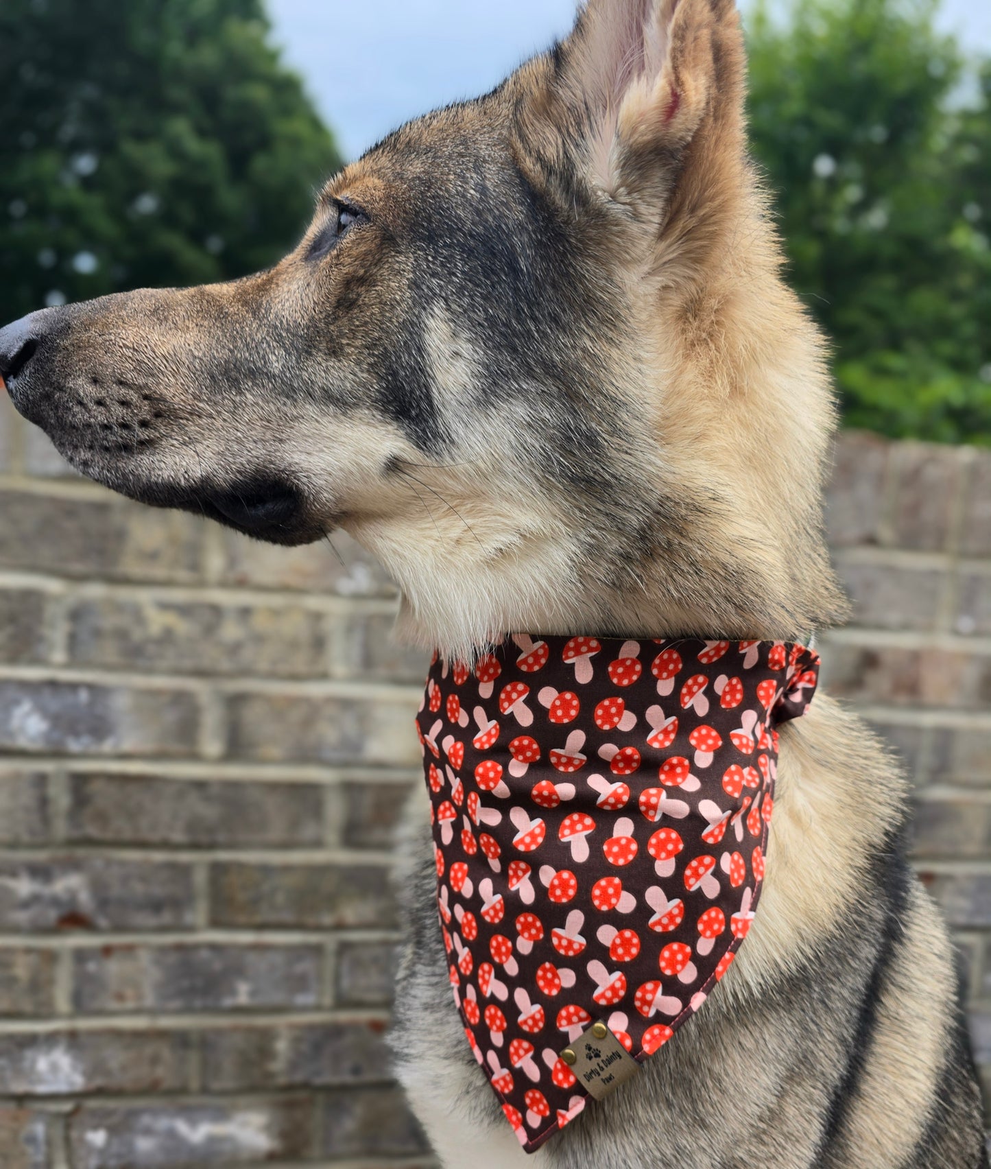 Mushies & Foil Pumpkins Reversible Scrunchie Dog Bandana - Autumn Glimmer