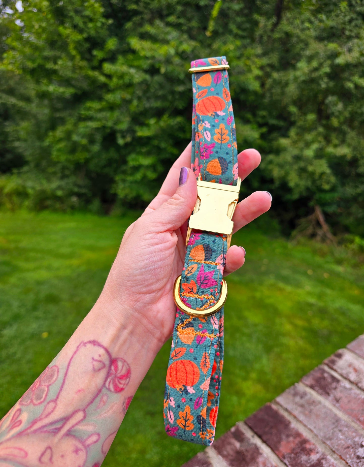 Fall Harvest Dog Collar | Autumn-Themed Pet Accessories by Dirty & Dainty Paws