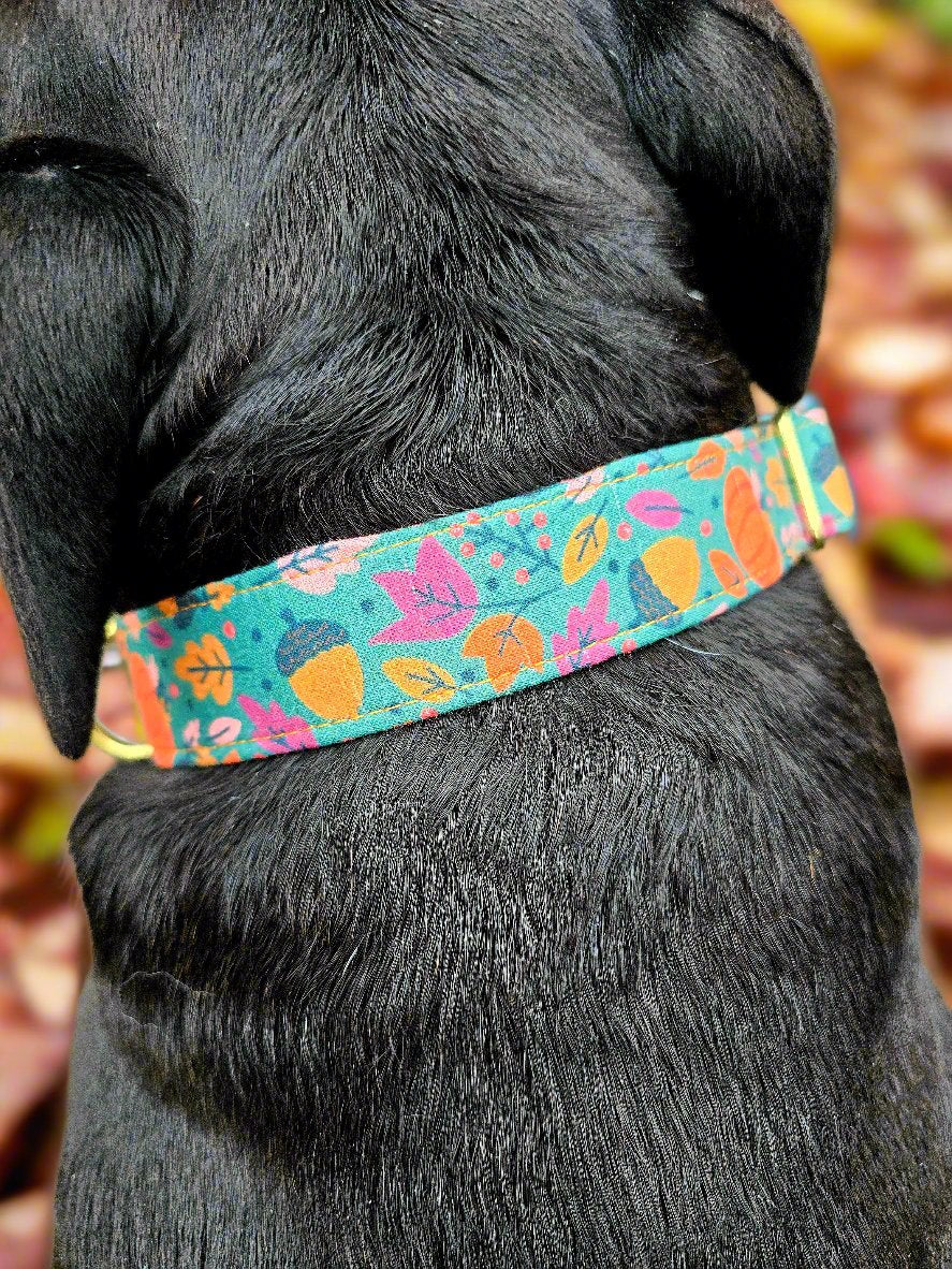 Fall Harvest Dog Collar | Autumn-Themed Pet Accessories by Dirty & Dainty Paws