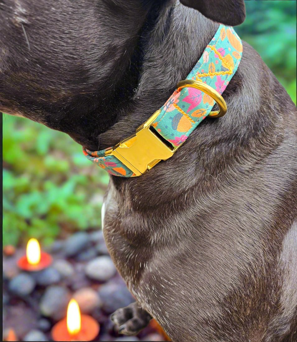 Fall Harvest Dog Collar | Autumn-Themed Pet Accessories by Dirty & Dainty Paws