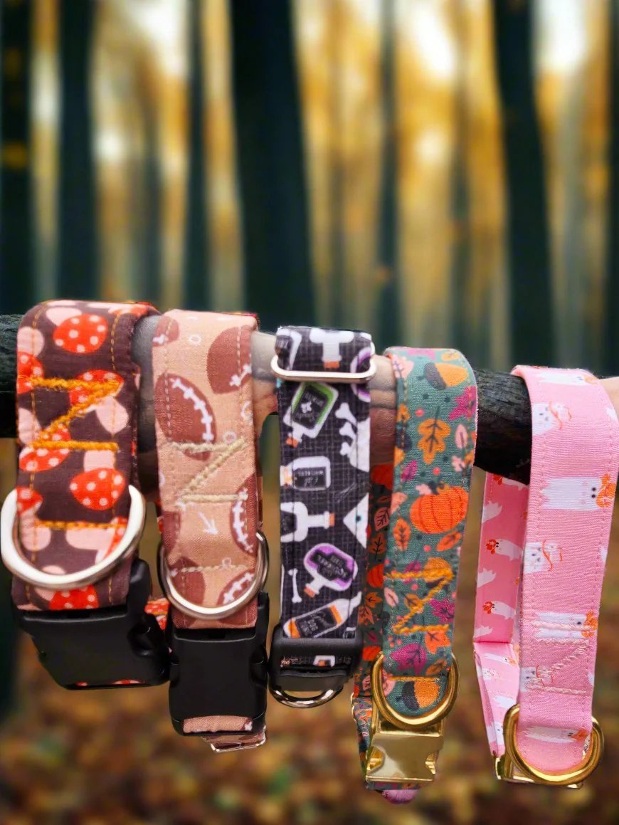 PRE-ORDER Fall Football Dog Collar | Seasonal Sports-Themed Pet Accessories by Dirty & Dainty Paws