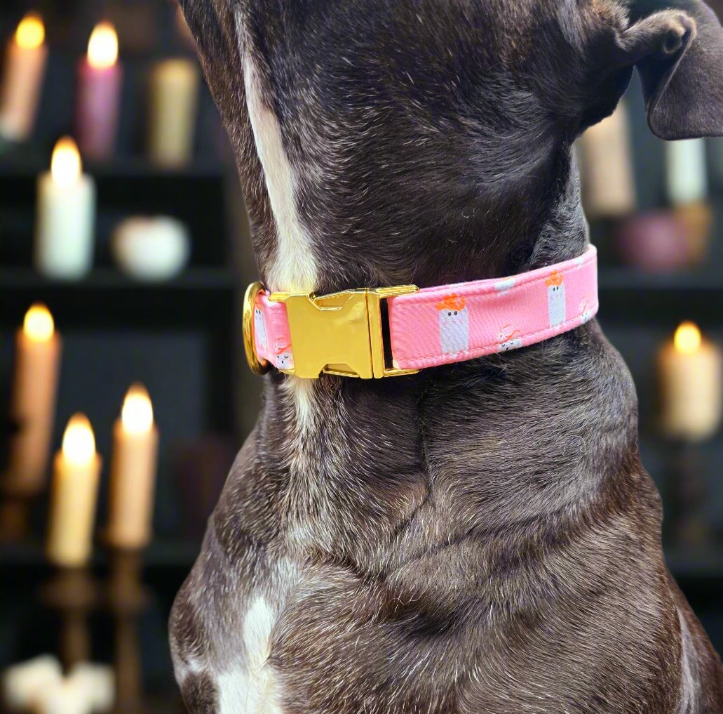 Boho Cowboy Ghosties Dog Collar - Spooky & Stylish Pet Accessory