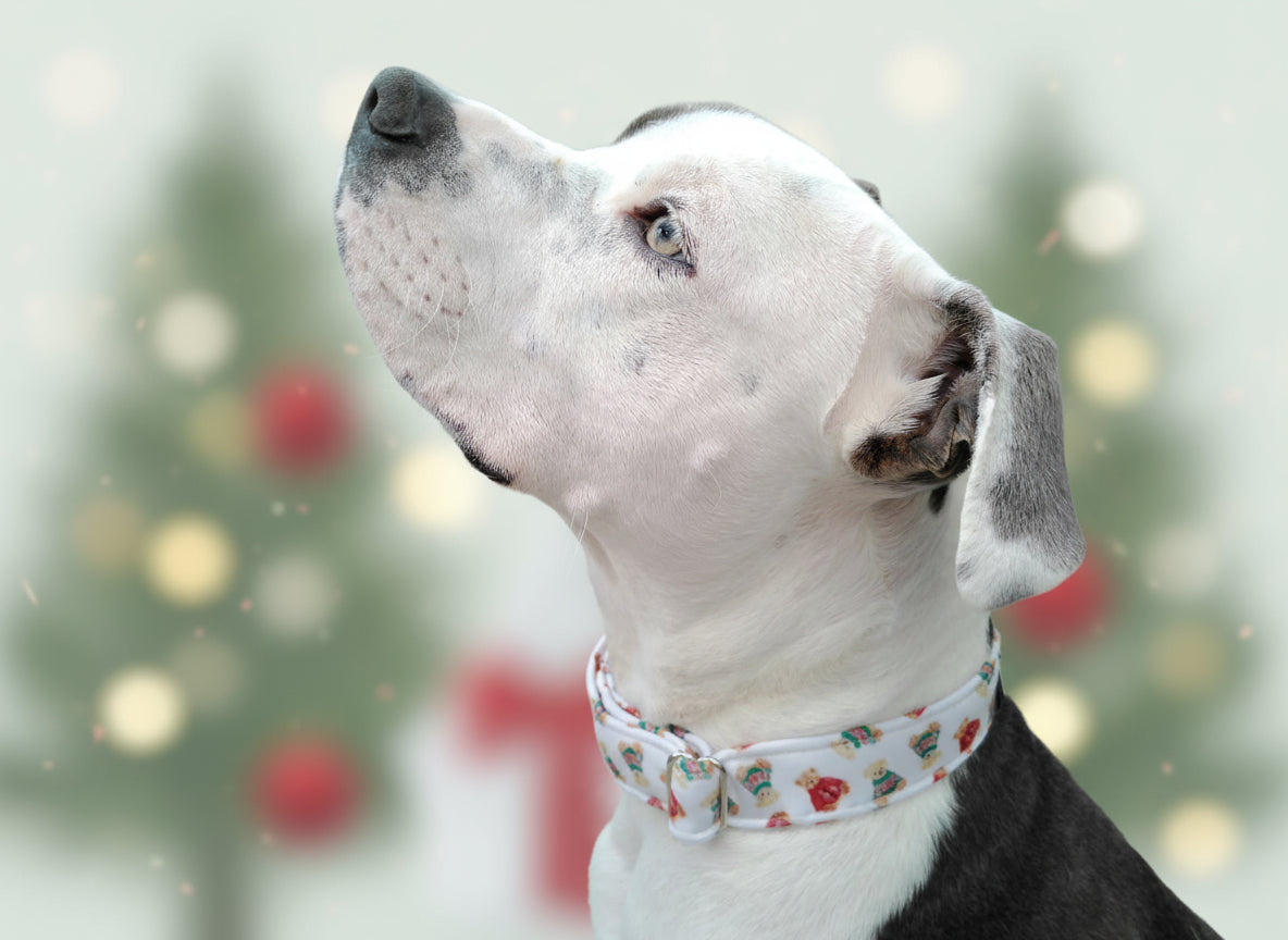 Cozy Teddy Bear  Neoprene Dog Collars | Durable Holiday Collars by Dirty & Dainty Paws