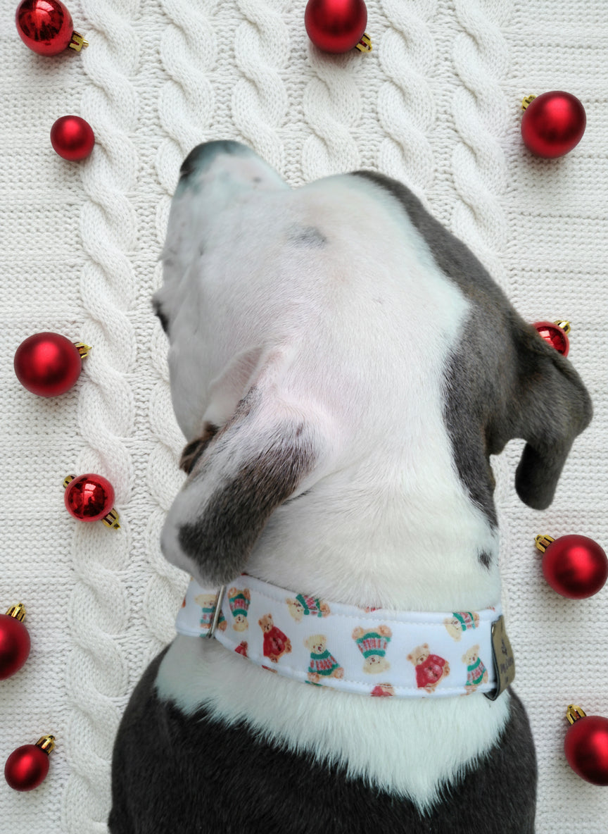 Cozy Teddy Bear  Neoprene Dog Collars | Durable Holiday Collars by Dirty & Dainty Paws