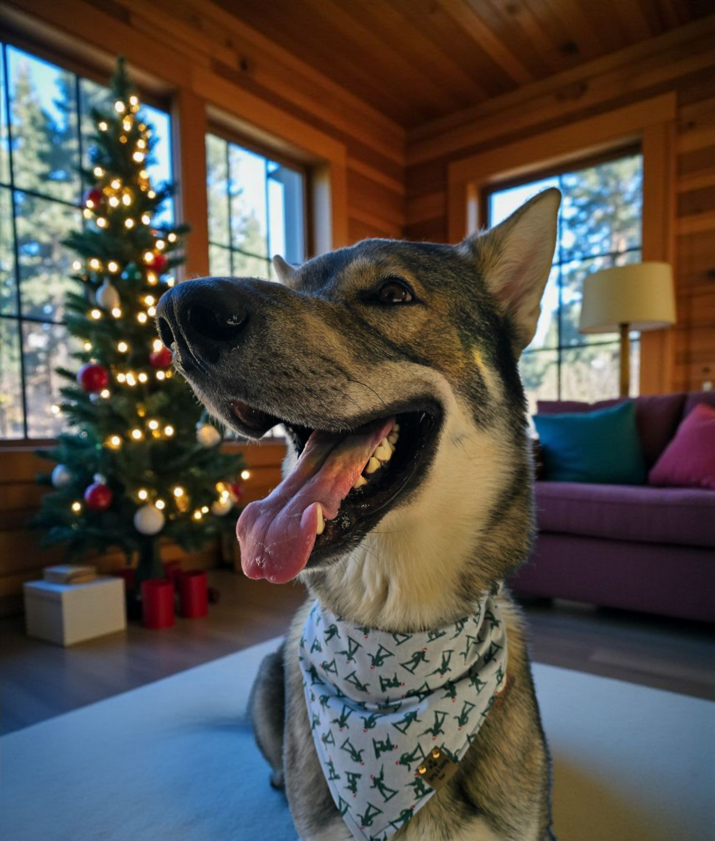 Toy Soldier| Stripes| Pinecone Cozy Cotton|Toy Soldier & Pinecone Reversible Dog Bandana