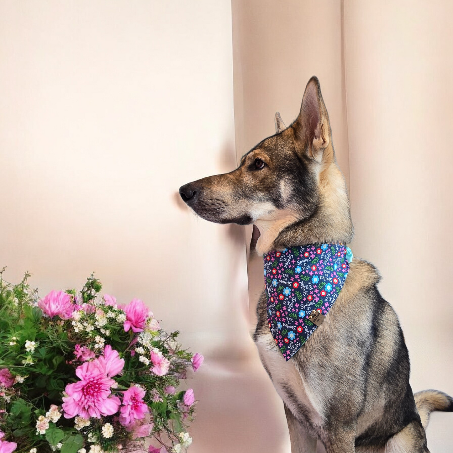 Spoiled AF Floral | Blue Sparkle Cozy Cotton Reversible Scrunchie Dog Bandana
