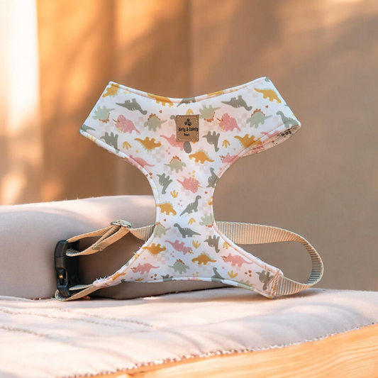 Dog harness with dinosaur pattern on a wooden surface