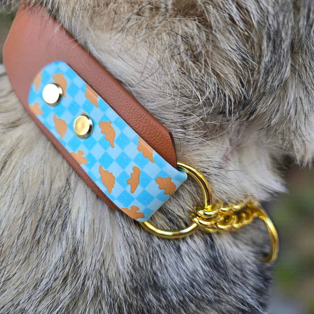 Dog biothane martingale collar with a blue dino nugs and brown two-toned  tag and gold ring on a dog's neck.
