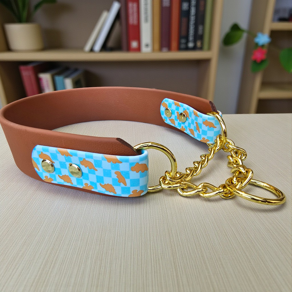 Dino Nugs Biothane Martingale Dog Collar – Waterproof No Slip Training Collar