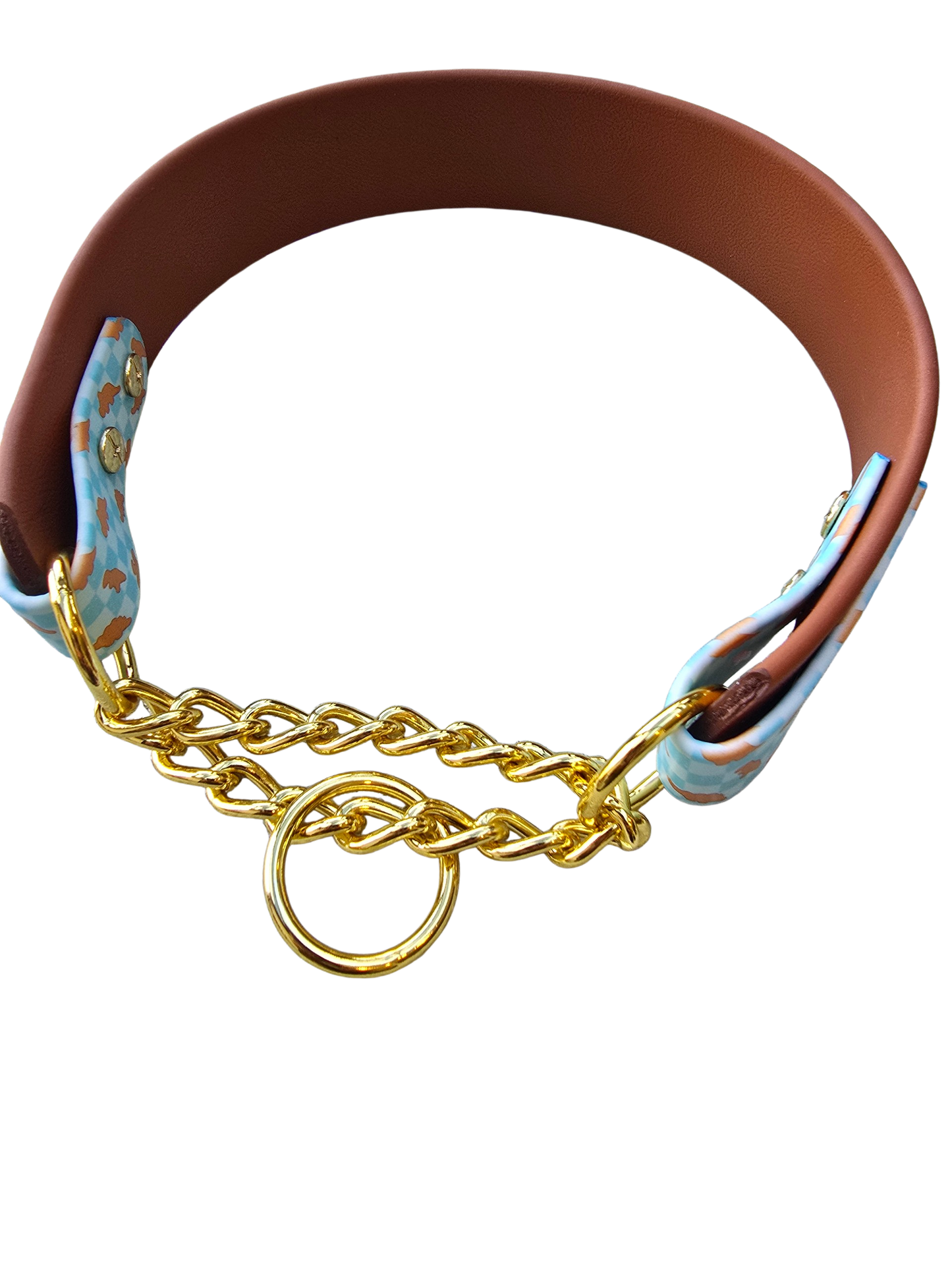 Dino Nugs Biothane Martingale Dog Collar – Waterproof No Slip Training Collar