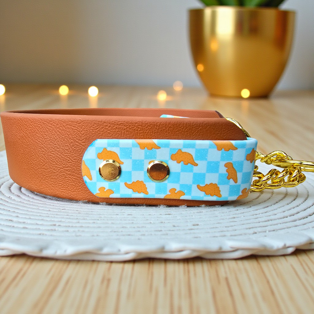 Dino Nugs Biothane Martingale Dog Collar – Waterproof No Slip Training Collar